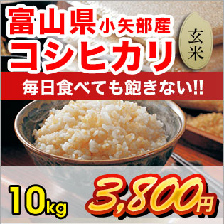 富山県産コシヒカリ 玄米10kg | お米 富山県産 有限会社フジサワ