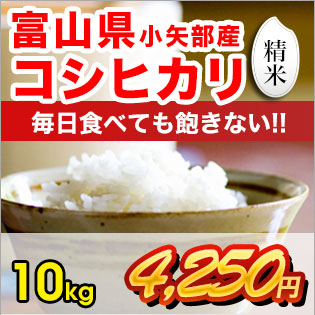 富山県産コシヒカリ 精米10kg | お米 富山県産 有限会社フジサワ