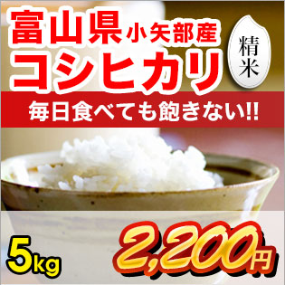 富山県産コシヒカリ 精米5kg | お米 富山県産 有限会社フジサワ