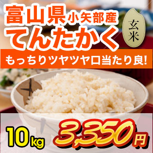 富山県産てんたかく 玄米10kg お米 富山県産 有限会社フジサワ